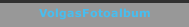 VolgasFotoalbum